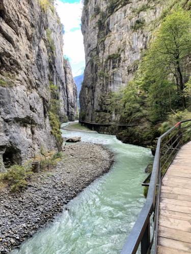 Aareschlucht